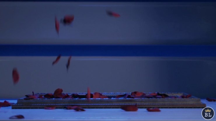 Visual Matrix AKA Rose Act Elegant Gold (Gimmick and Online Instructions) by Will Tsai and SansMinds - Trick - Piper Magic