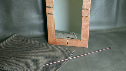 Flexible Mirror/Needle Through Mirror by Tony Karpinski