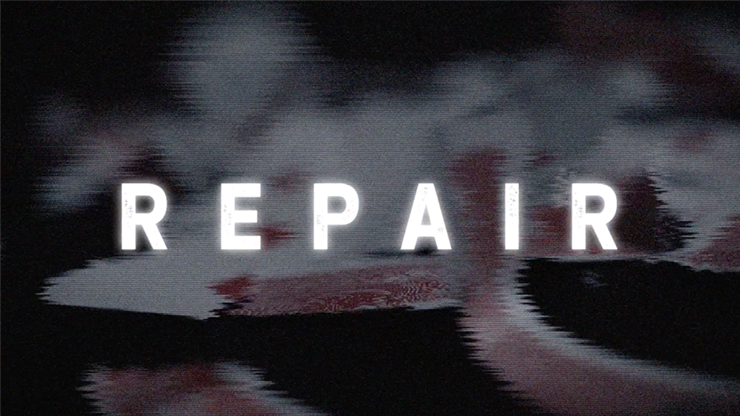 Repair (DVD and Gimmicks) by Juan Capilla  - DVD