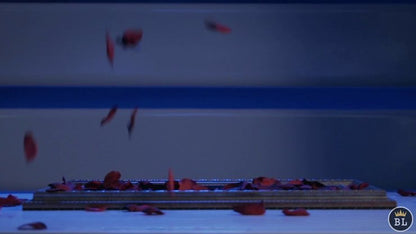 Visual Matrix AKA Rose Act Elegant Gold (Gimmick and Online Instructions) by Will Tsai and SansMinds - Trick - Piper Magic